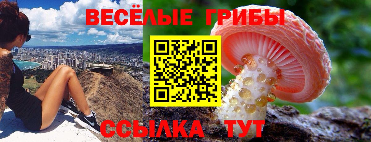 Галлюциногенные грибы прущие грибы  Псилоцибиновые грибы мухоморы  Шелехов  Вход с VPN 